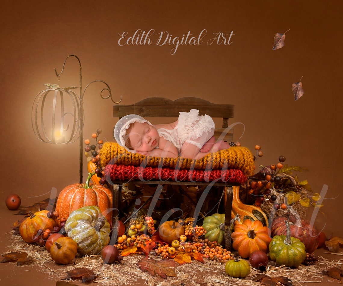 Autumn Newborn Digital Background Fall Backdrop Photography - Etsy