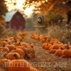 May include: A large pile of orange pumpkins in a field with a red barn in the background. The pumpkins are scattered on the ground, with some in the foreground and others in the background. The pumpkins are all different sizes and shapes.