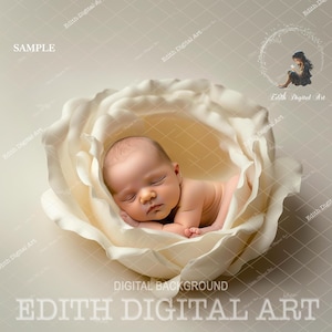 Fondo digital para recién nacidos, composición fotográfica con flores blancas de niña bebé con flores de primavera, retrato de recién nacido en estudio, fotografía de guardería de bellas artes.