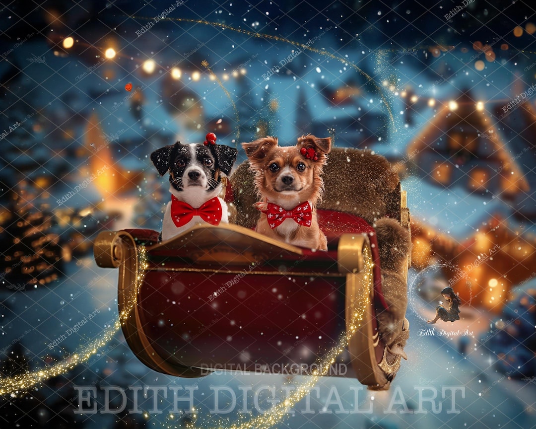 Christmas Digital Backdrop Photography, for Kids, Pets, Dogs, Cats, Fun  Christmas Portrait, Santa's Sleigh, Flying Sleigh. Instant Download - Etsy  New Zealand, image size:1080x864