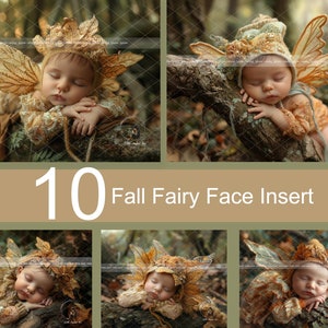 Newborn Digital Backdrop For Photography, Newborn Face Insert, 10 Autumn Baby Fairy Digital Background, Fantasy Composite Digital Download zdjęcie 2