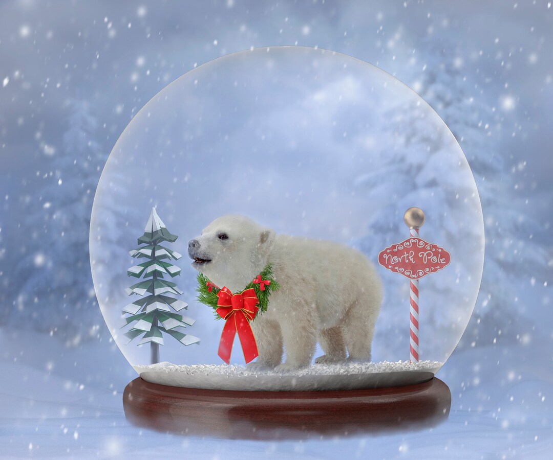 Christmas Snow Globe Digital Backdrop Winter Digital - Etsy