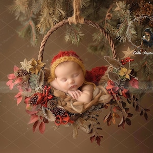 May include: A sleeping baby in a red and yellow knitted hat rests in a decorative hanging basket. The basket is decorated with pine cones, red berries, and autumn leaves, creating a seasonal, rustic theme. The background features evergreen branches.
