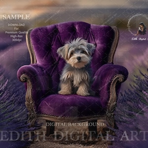 May include: A small, fluffy dog sits on a plush, antique purple armchair. The chair has ornate wooden detailing. The background features lavender plants and a soft, blurred landscape. The image includes the text "SAMPLE" and "EDITH DIGITAL ART".