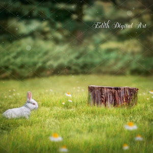 May include: A white rabbit sits in a grassy field with a tree stump in the background. The field is covered in white flowers and the background is a blurred green forest.