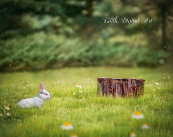 Easter Digital Backdrop, Easter Photography Background, Easter Bunny on Spring Field,  Photoshop Composite, Easter Rabbit  Landscape.