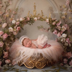 Princess Newborn Digital Bed, Newborn Digital Background, Floral Gold Baby Crib, Newborn Composite Photography Studio, Spring  Digital Photo