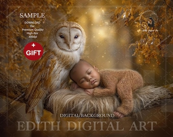 Newborn Digital Backdrop, Autumn Forest Tree Branch Photo Prop Digital For Baby Girl Fall Background Photography Composite Scene. Download