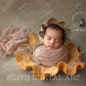 Newborn Digital Backdrop Photography, Face Insert Baby Digital Background Girl, Add face Digital Photo Prop Composite, Photoshop Backdrop