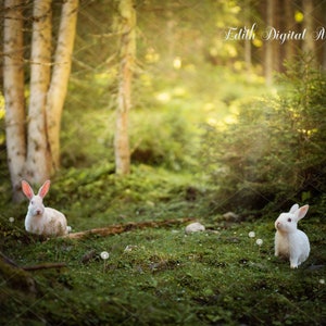 Spring Digital Background, Easter Bunnies on Field, Digital Backdrop For Photographers,  Summer Forest Photography for Photoshop Composite.