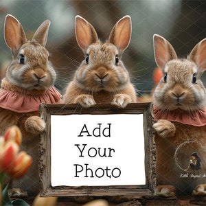 May include: Three brown rabbits with pink collars hold a blank sign that says "Add Your Photo" in front of a background of green foliage and orange tulips.