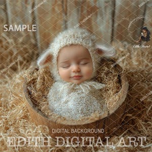 Baby Newborn Digital Backdrop, Newborn Face Insert Photography Prop, Baby Photo Composite, Farm Farm Animals Digital Background, Girl or Boy