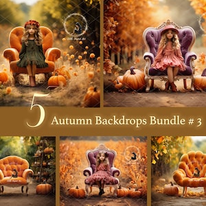 5 Autumn Digital Backdrops, Fall Digital Backgrounds Bundle, Outdoor Photography Photoshoot, Autumn Harvest Pumpkings on Field  With Chair