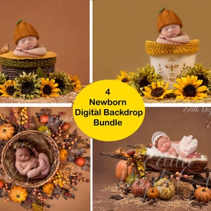 Newborn Digital Background, 4 Fall Backdrop Photography Composite, Autumn Photo Prop. Floral Backgrounds for Baby Newborn Overlay.