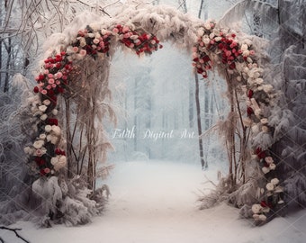 Photographie de toile de fond numérique de Noël, fond d’arche de Noël en plein air, séance photo de modèle numérique de portrat de Noël d’hiver de neige.