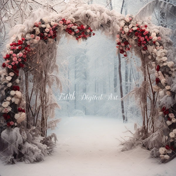 Fotografía de fondo digital de Navidad, fondo de arco de Navidad al aire libre, sesión de fotos de plantilla digital de retrato de Navidad de invierno de nieve.
