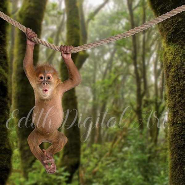 Jungle Forest with Baby Monkey on Rope Digital Backdrop Background. Fantasy Jungle Backdrop, Hanging Monkey for Kids Background.