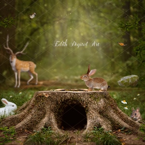 Spring Digital Background, Bunnies on Field Digital Backdrop For Photographers, Summer Forest Photography for Photoshop Composite.