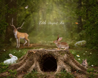Spring Digital Background, Bunnies on Field Digital Backdrop For Photographers, Summer Forest Photography for Photoshop Composite.