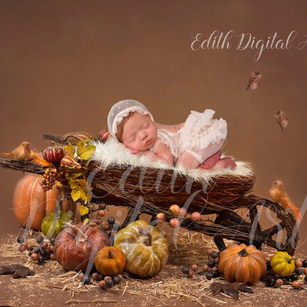 Newborn Digital Background,  Autumn Pumpkin Wagon Digital Prop, Backdrop Photoshop Composite, Fall Baby Insert Photography