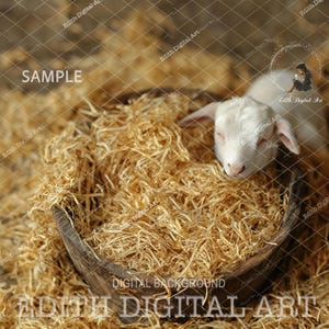 Newborn Digital Backdrop, Farm Barn Photo Prop Digital, Rustic Country Background Photography For Newborn Composites, Baby Photoshop Overlay