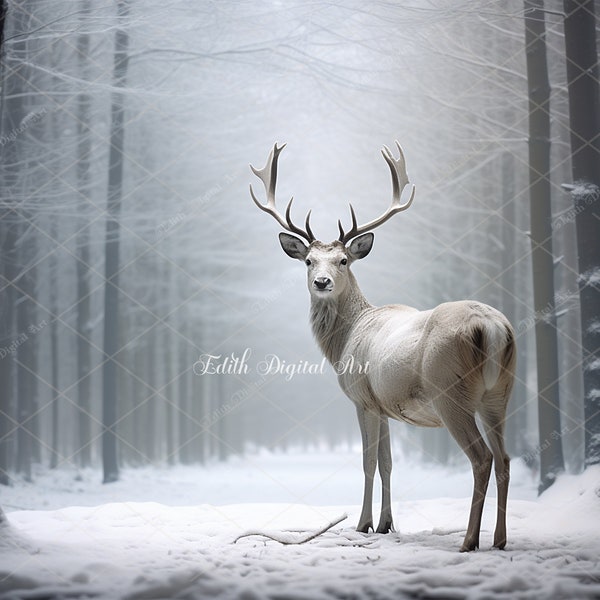 Winter Digital Backdrop Photography, White Deer on Enchanted Magical Snow Forest Background, Christmas Digital Template, Printable Photo.