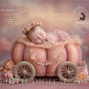 Newborn Digital Backdrop, Felt Princess Pumpking Carriage, Studio Portrait For Baby Girl Photo  Composites, Autumn  Photography Background