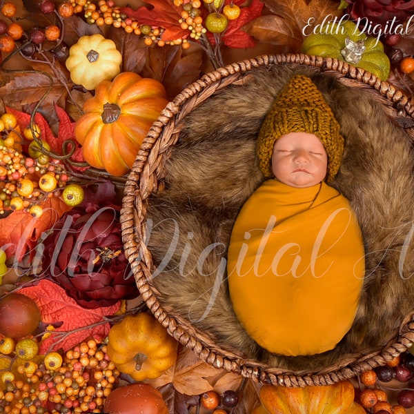 Newborn Digital Background, Autumn Backdrop Photography, Fall Pumpking Nest Baby Insert Composite Photo Prop. Girl and Boy Instant Download