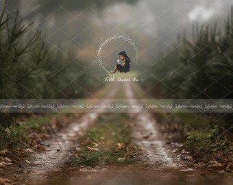 Winter Forest Digital Backdrop Photography, Christmas Tree Farm, Pine Tree Road, Outdoors Portrait, Instand Download. Add Kids, Family, Pets