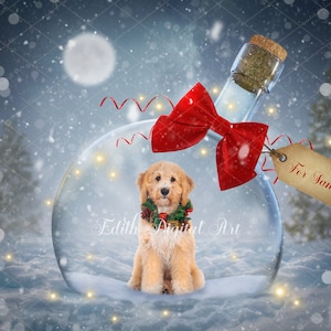 Kerst digitale achtergrondfotografie, sneeuwbol achtergrond composiet, fantasie vakantie foto, kerstcadeau cadeau, huisdieren, familie, kinderen.