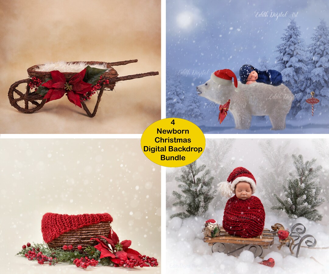 Newborn Christmas Digital Background, 4 Winter Backdrops, Newborn