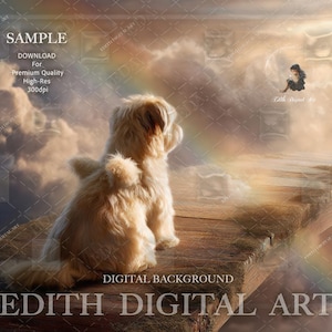 Rainbow Bridge Pet Memorial numérique toile de fond, animal de compagnie perte sympathie fond, chemin vers le ciel en téléchargement numérique, photographie hommage & souvenir