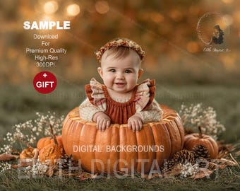 Fall Pumpkin Digital Backdrop, Autumn Baby Todler Background, Outdoor Pumpkin Patch Portrait. Instant Download
