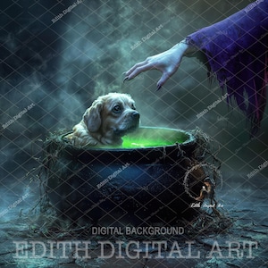Halloween Digitaler Hintergrund für Hund, Katze, Haustiere, Welpen-Fotografie, Halloween-Foto-Hintergrund, Hexe, Kessel, Herbst-Halloween-Hundeporträt