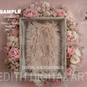May include: A digital backdrop for photography. It features a wooden box with a fluffy, pale pink fur insert, surrounded by pink and white roses. The image includes the text "SAMPLE" and "DIGITAL BACKGROUNDS".
