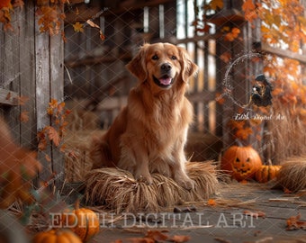 Dog Portrait Digital Background Photography, Autumn, Fall Scene, Harvest, Barn Backdrop, Barley, Pumpkins, Halloween, Instant Download Photo