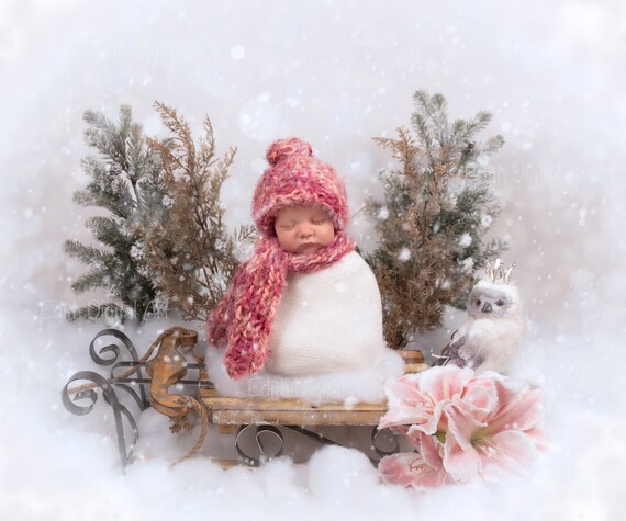Christmas Digital Backdrop for Newborn Girl. Winter Snowy | Etsy