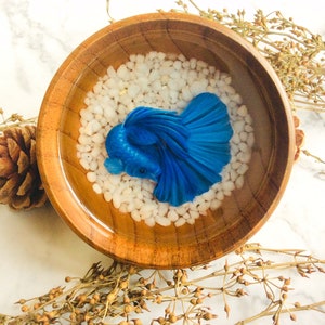 Blue Betta Fish Resin Art, 3d fish painting, table decor, resin art for sale, 3d resin painting, pet portrait, gift for him, living room art