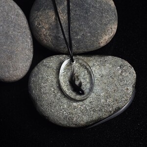 May include: A black tadpole encased in clear resin on a black cord necklace. The necklace is displayed on a gray stone background.