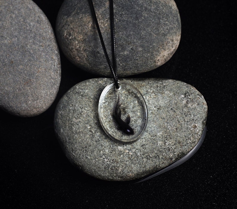 May include: A black tadpole encased in clear resin on a black cord necklace. The necklace is displayed on a gray stone background.