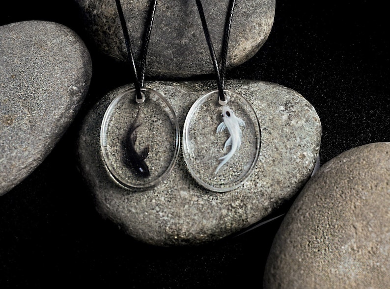 May include: Two oval-shaped pendants on black cords, each containing a resin-encased fish. One fish is black, the other is white. The pendants are resting on gray stones.