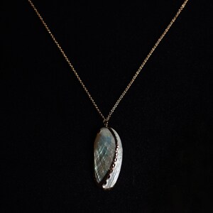 May include: A gold chain necklace with a white seashell pendant. The seashell has a black and gold trim.