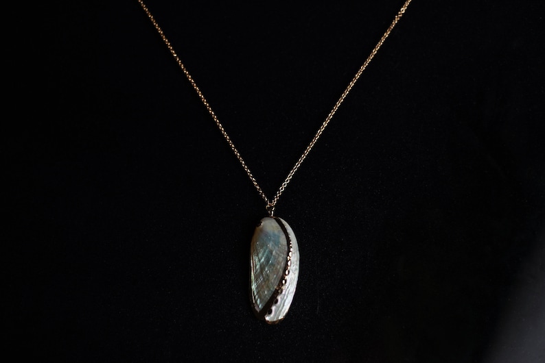 May include: A gold chain necklace with a white seashell pendant. The seashell has a black and gold trim.