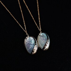 A pair of beautiful shell necklaces with golden edge color. The length is around 4 cm and the width is around 3 cm. They are very suit for the couples.