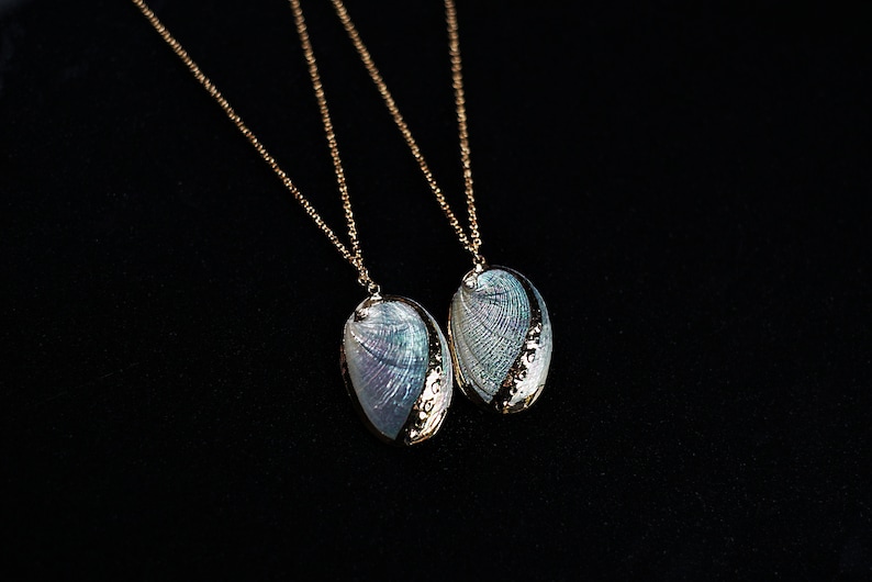 A pair of beautiful shell necklaces with golden edge color. The length is around 4 cm and the width is around 3 cm. They are very suit for the couples.