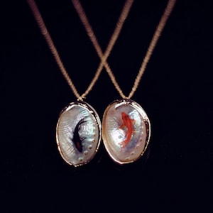 May include: Two gold necklaces with oval-shaped pendants. Each pendant is made of iridescent mother-of-pearl and features a fish inside. One fish is black and the other is orange.