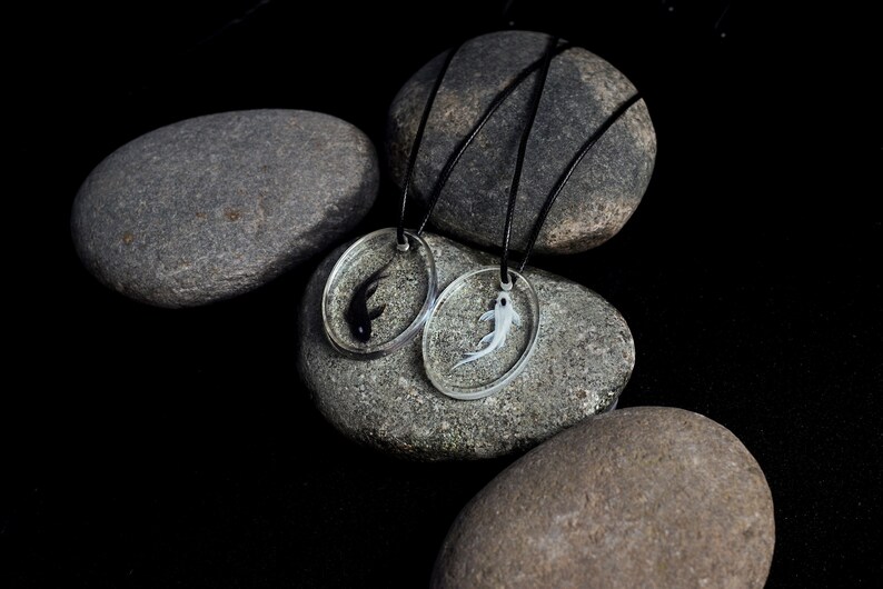 May include: Two necklaces with black cord and round pendants featuring a black and white fish in resin. The necklaces are displayed on gray stones.