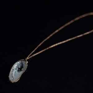 May include: A gold chain necklace with a pendant made from a seashell. The seashell is white with a black and white design inside.