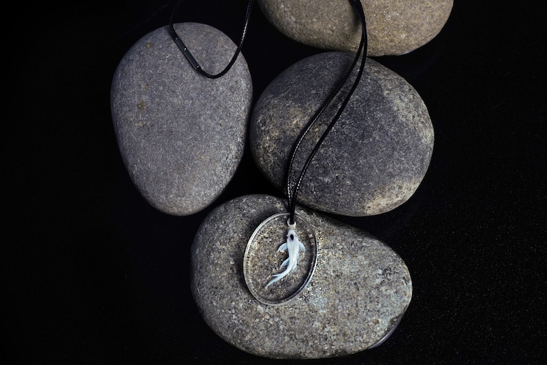 May include: A silver necklace with a round pendant featuring a white fish inside. The necklace is laying on top of four gray stones.