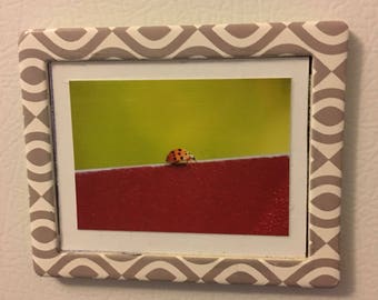 Lady Bug Fridge Magnet Lady Bug Print Magnet Refrigerator Magnet Lady Bug Magnet Kitchen Magnet Art Magnet Framed Magnet Lady Bug Lover Gift